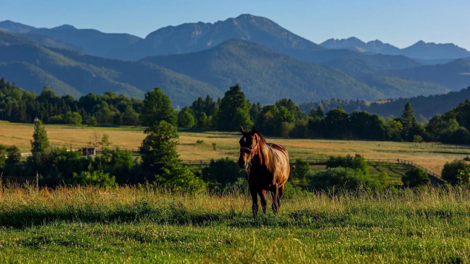 Вилла Siedlisko U Magdy Zakopane Z Widokiem Na Tatry Шале